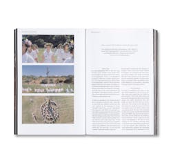 ON THE DANCE FLOOR: SPINNING OUT ON SCREEN